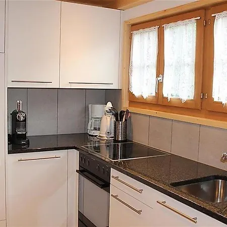 Schonried Sleeps 7 Wifi * Hornkessel
