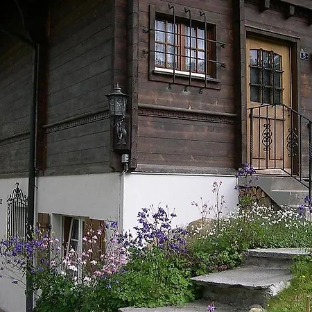 Apartment Schonried Sleeps 7 Wifi Hornkessel